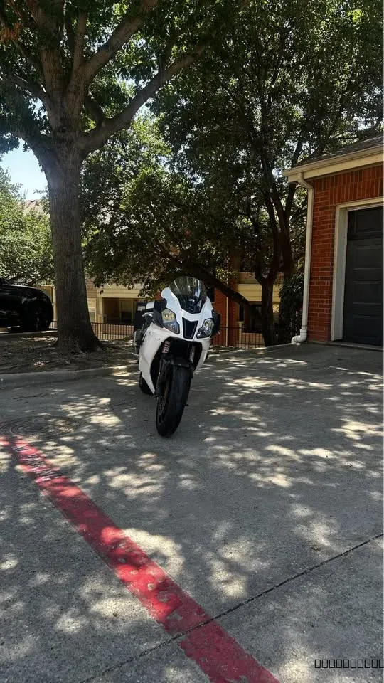 2004 Aprilia RSV - Image 2