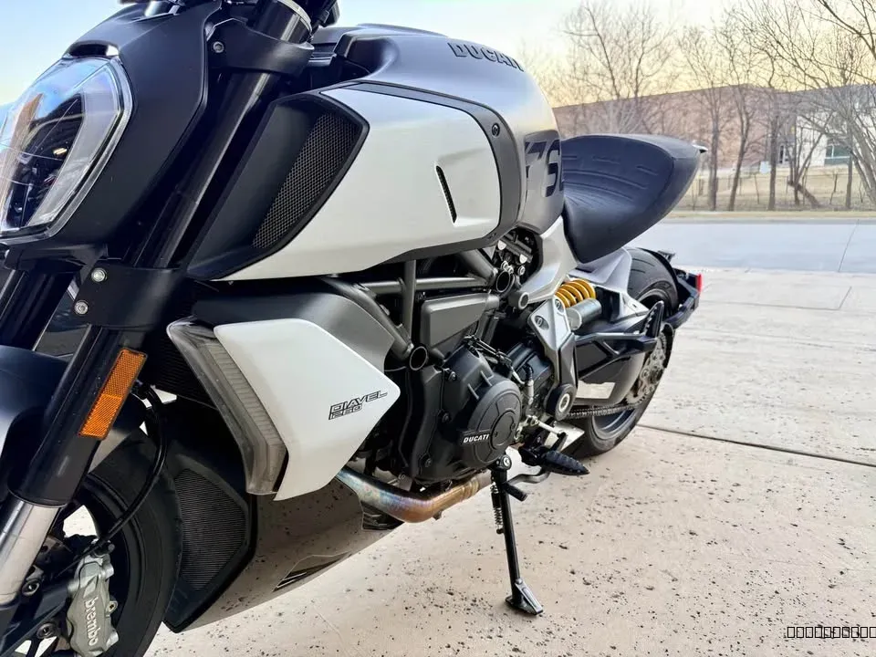 2019 Ducati Diavel - Image 6